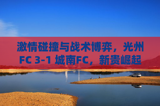 激情碰撞与战术博弈,光州FC 3-1 城南FC,新贵崛起震慑K联赛