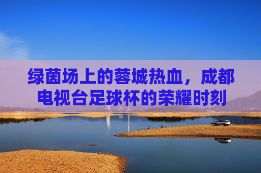 绿茵场上的蓉城热血，成都电视台足球杯的荣耀时刻