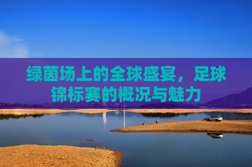 绿茵场上的全球盛宴，足球锦标赛的概况与魅力