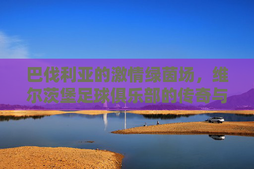 巴伐利亚的激情绿茵场，维尔茨堡足球俱乐部的传奇与荣耀
