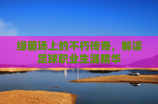 绿茵场上的不朽传奇,解读足球职业生涯精华