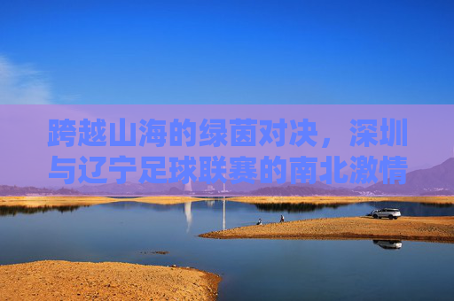 跨越山海的绿茵对决，深圳与辽宁足球联赛的南北激情碰撞