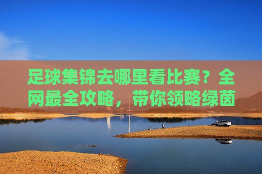 足球集锦去哪里看比赛?全网最全攻略,带你领略绿茵场上的极致魅力
