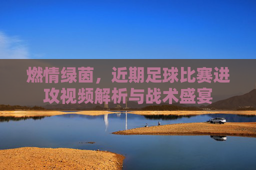 燃情绿茵，近期足球比赛进攻视频解析与战术盛宴