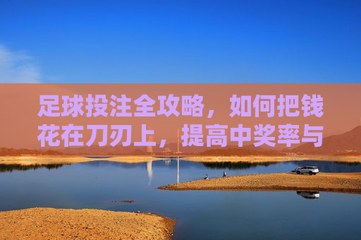 足球投注全攻略,如何把钱花在刀刃上,提高中奖率与性价比