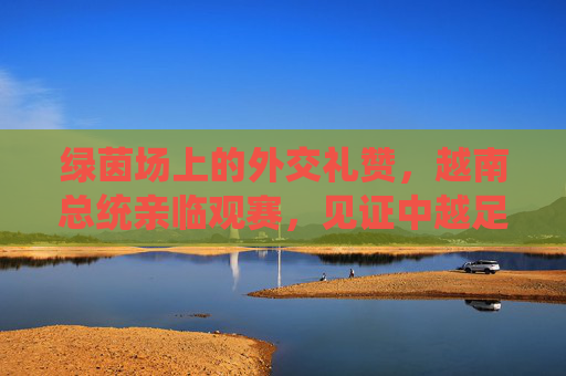 绿茵场上的外交礼赞,越南总统亲临观赛,见证中越足球友谊