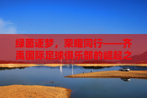 绿茵逐梦,荣耀同行——齐禹国际足球俱乐部的崛起之路