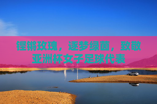 铿锵玫瑰，逐梦绿茵，致敬亚洲杯女子足球代表