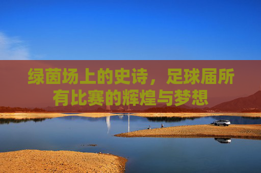 绿茵场上的史诗，足球届所有比赛的辉煌与梦想
