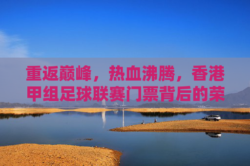重返巅峰，热血沸腾，香港甲组足球联赛门票背后的荣耀与激情