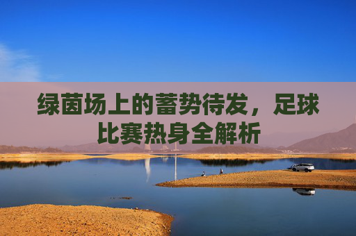 绿茵场上的蓄势待发,足球比赛热身全解析