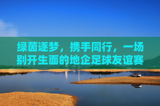 绿茵逐梦，携手同行，一场别开生面的地企足球友谊赛