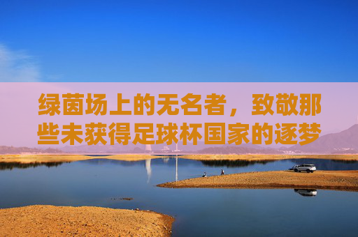 绿茵场上的无名者,致敬那些未获得足球杯国家的逐梦人