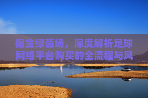 掘金绿茵场，深度解析足球网络平台购买的全流程与风险控制