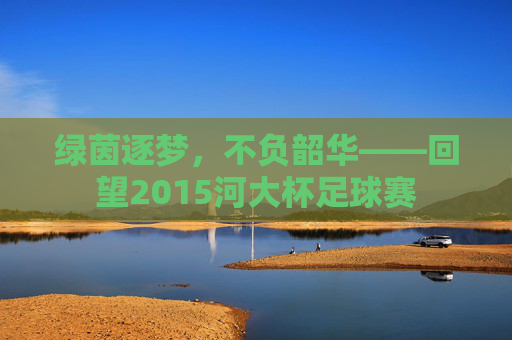 绿茵逐梦,不负韶华——回望2015河大杯足球赛