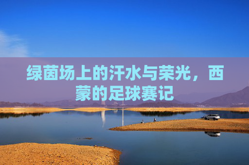 绿茵场上的汗水与荣光,西蒙的足球赛记