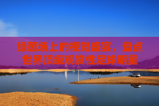 绿茵场上的视觉盛宴,盘点世界顶级观赏性足球明星