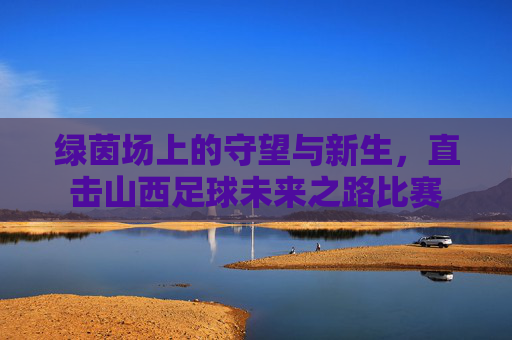 绿茵场上的守望与新生,直击山西足球未来之路比赛