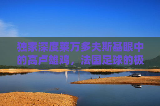 独家深度莱万多夫斯基眼中的高卢雄鸡,法国足球的极致天赋与未来挑战