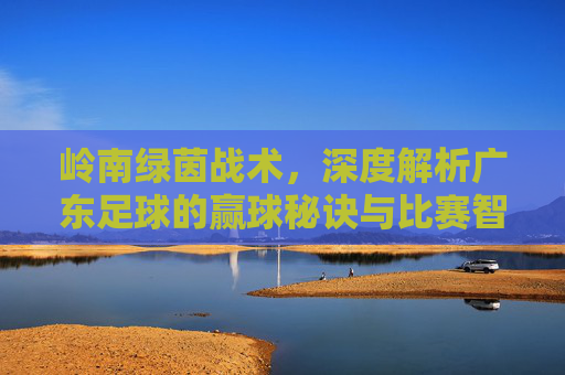 岭南绿茵战术,深度解析广东足球的赢球秘诀与比赛智慧