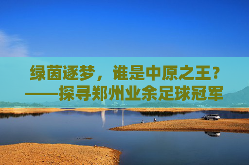 绿茵逐梦，谁是中原之王？——探寻郑州业余足球冠军的归属