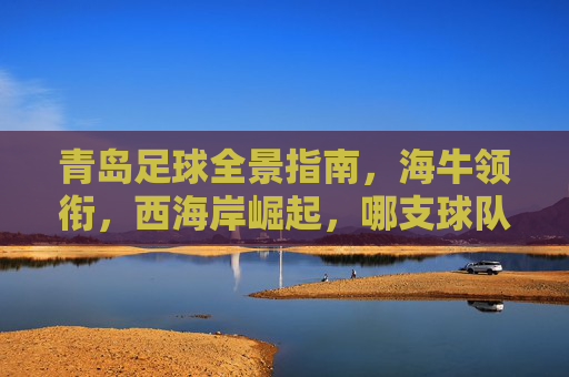 青岛足球全景指南，海牛领衔，西海岸崛起，哪支球队是你的最爱？