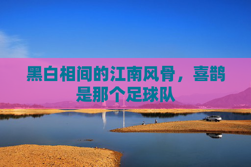 黑白相间的江南风骨,喜鹊是那个足球队