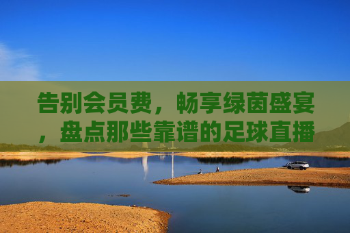 告别会员费，畅享绿茵盛宴，盘点那些靠谱的足球直播免费看的网站