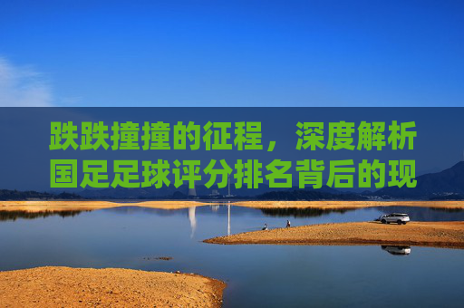 跌跌撞撞的征程,深度解析国足足球评分排名背后的现状与反思
