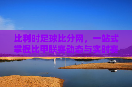 比利时足球比分网，一站式掌握比甲联赛动态与实时赛事结果