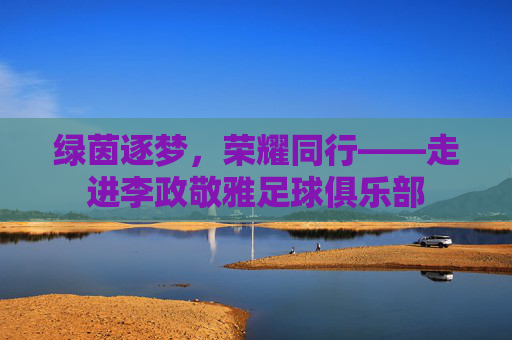 绿茵逐梦，荣耀同行——走进李政敬雅足球俱乐部