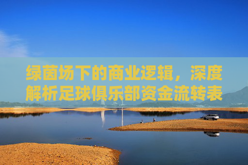 绿茵场下的商业逻辑，深度解析足球俱乐部资金流转表