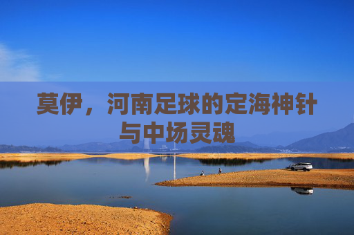 莫伊，河南足球的定海神针与中场灵魂