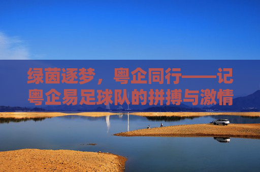 绿茵逐梦，粤企同行——记粤企易足球队的拼搏与激情
