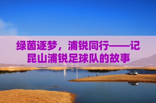 绿茵逐梦,浦锐同行——记昆山浦锐足球队的故事