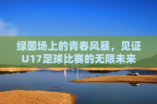 绿茵场上的青春风暴，见证U17足球比赛的无限未来
