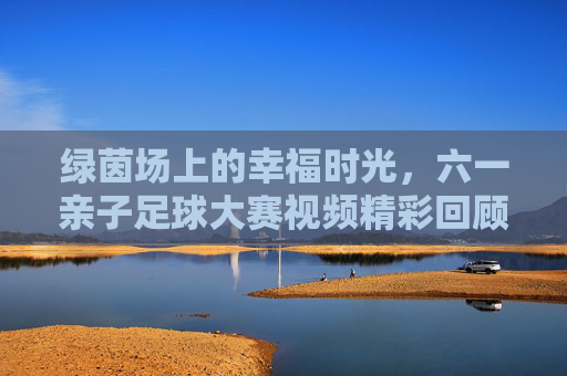 绿茵场上的幸福时光，六一亲子足球大赛视频精彩回顾