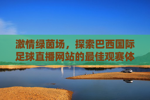 激情绿茵场,探索巴西国际足球直播网站的最佳观赛体验