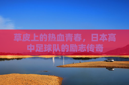 草皮上的热血青春,日本高中足球队的励志传奇