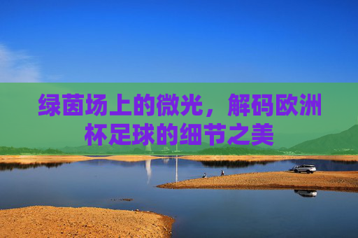 绿茵场上的微光，解码欧洲杯足球的细节之美