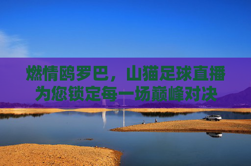 燃情鸥罗巴，山猫足球直播为您锁定每一场巅峰对决