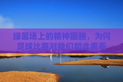 绿茵场上的精神图腾，为何足球比赛对我们如此重要