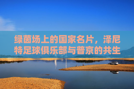 绿茵场上的国家名片，泽尼特足球俱乐部与普京的共生关系