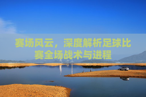 赛场风云,深度解析足球比赛全场战术与进程