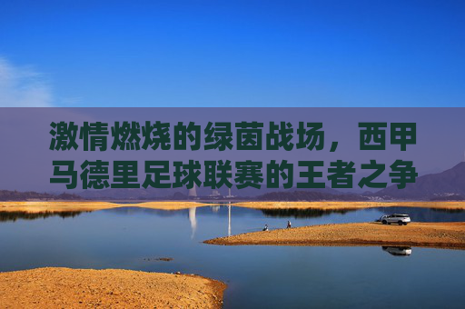 激情燃烧的绿茵战场，西甲马德里足球联赛的王者之争