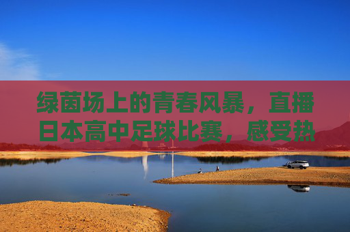 绿茵场上的青春风暴,直播日本高中足球比赛,感受热血少年魂