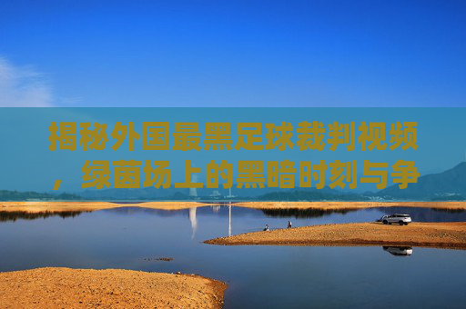 揭秘外国最黑足球裁判视频,绿茵场上的黑暗时刻与争议判罚