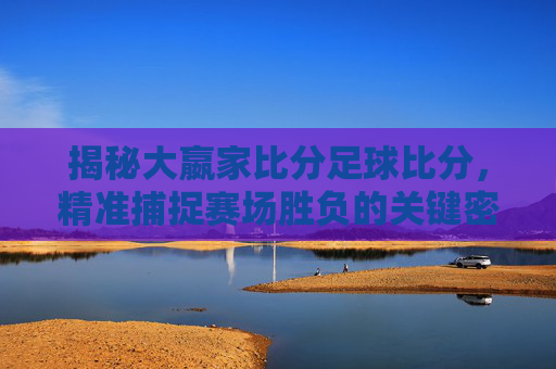 揭秘大嬴家比分足球比分,精准捕捉赛场胜负的关键密码