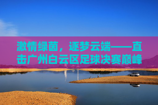 激情绿茵,逐梦云端——直击广州白云区足球决赛巅峰对决