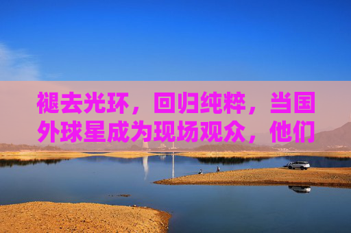褪去光环，回归纯粹，当国外球星成为现场观众，他们眼中的足球是什么模样？